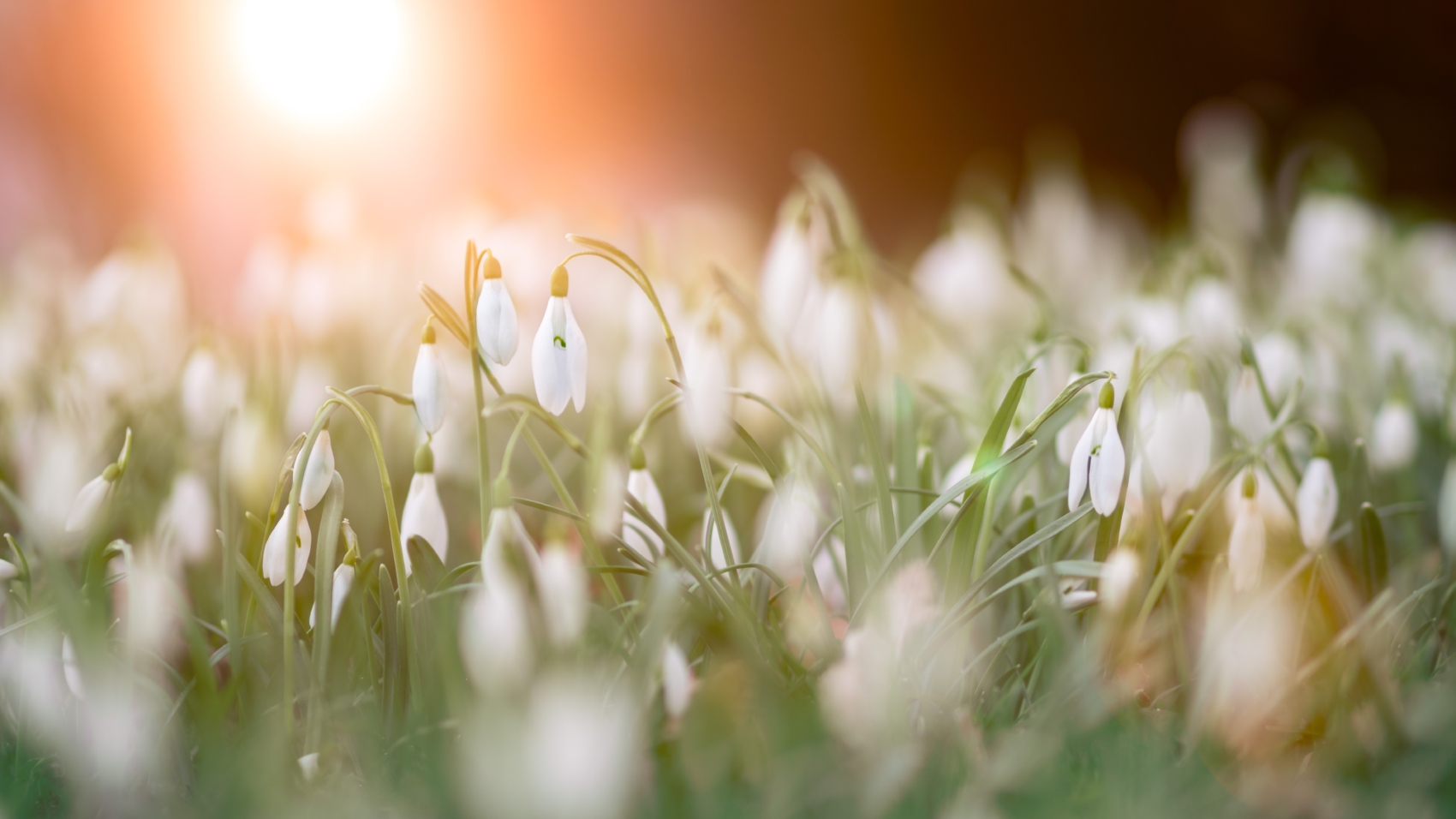 simon-matzinger-603033-unsplash